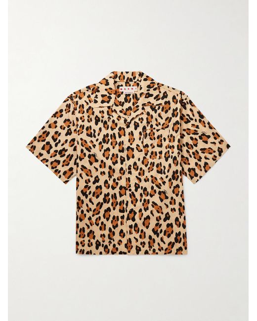 Marni Natural Convertible-collar Leopard-print Cotton-poplin Shirt for men