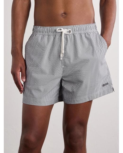 Zegna Gray Straight-leg Mid-length Striped Seersucker Swim Shorts for men