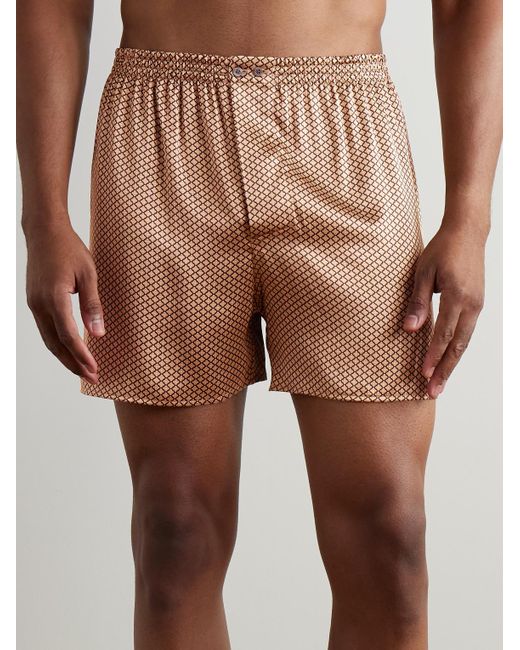 Boxer di Zimmerli of Switzerland in Brown da Uomo