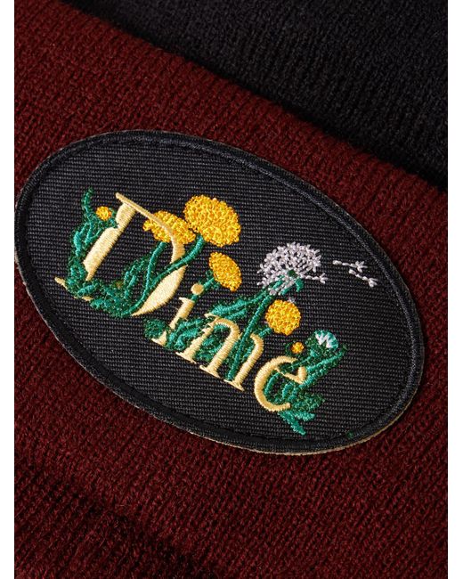 Dime Black Allergie Logo-appliquéd Ribbed-knit Beanie for men