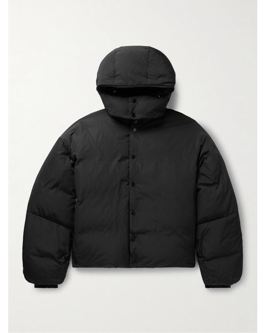 LE17SEPTEMBRE Black Quilted Shell Hooded Down Jacket for men