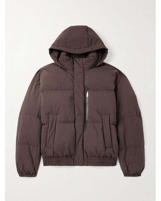 Laminar Brown Quilted Shell Down Hooded Jacket for men
