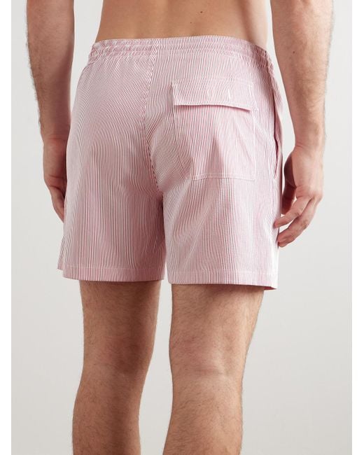 Loro Piana Pink Daneu Straight-Leg Mid-Length Striped Swim Shorts for men