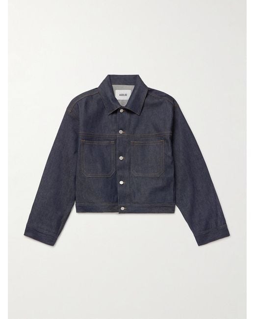 Agolde Blue Blaze Oversized Cropped Denim Jacket for men