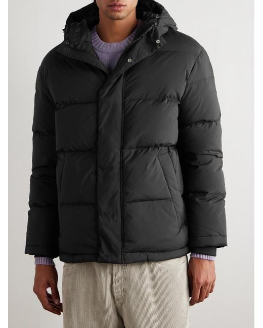 NN07 Black Matthew 8245 Quilted Padded Recycled-shell Hooded Jacket for men