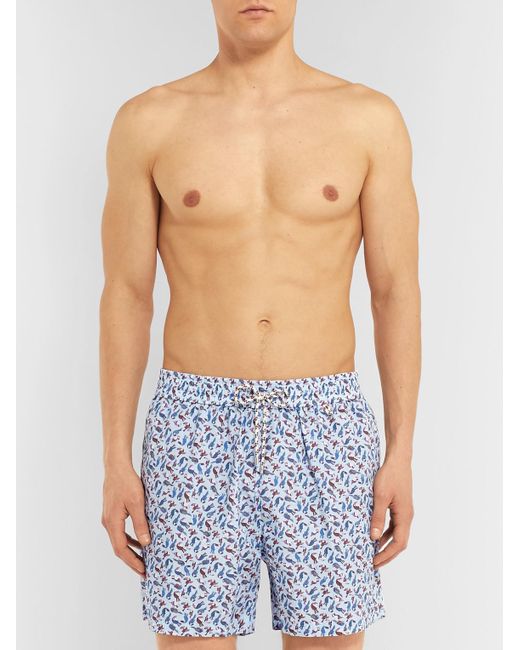 Loro Piana Blue Mid-Length Printed Cotton Swim Shorts for men
