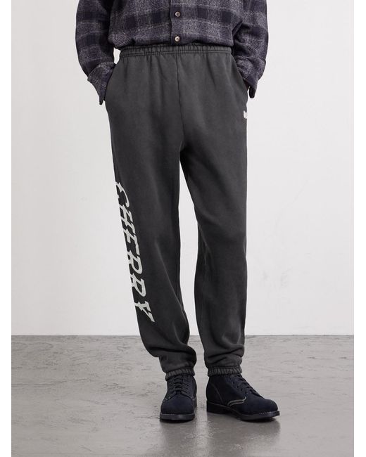 CHERRY LA Gray Hollywood Logo-Print Appliquéd Cotton-Jersey Sweatpants for men