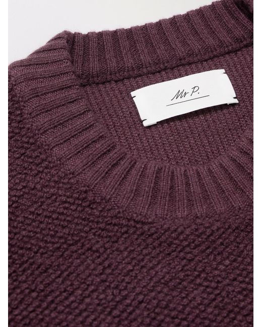 Cashmere Sweater di Mr P. in Purple da Uomo