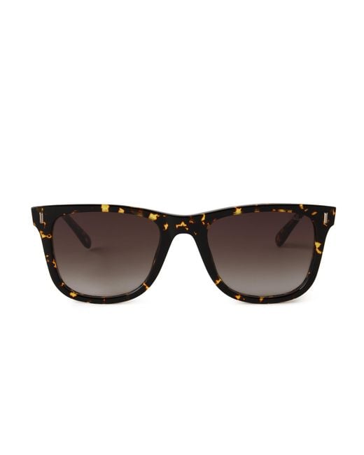 Mulberry Brown Alex Sunglasses