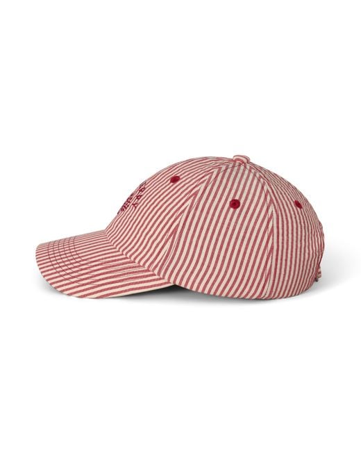 Mulberry Red Tree Baseball Cap