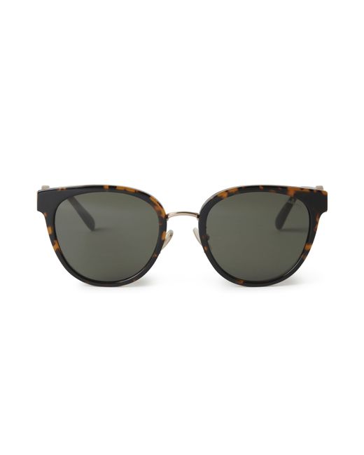 Mulberry Brown Amberley Sunglasses Tortoiseshell