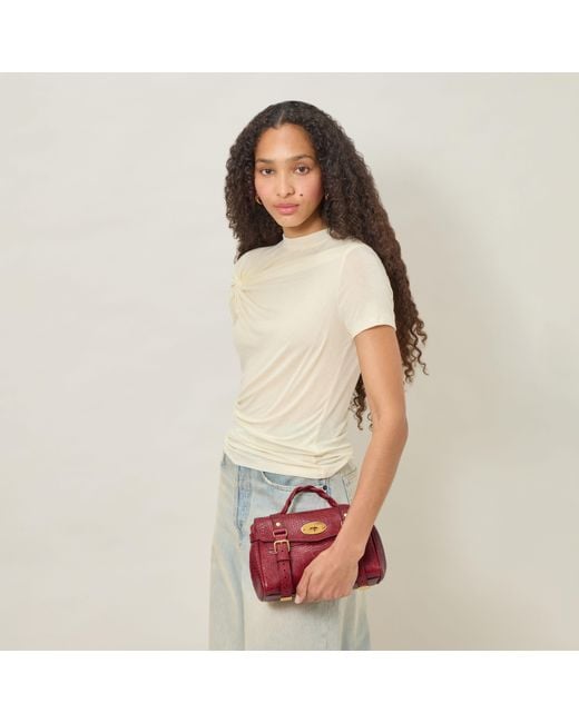Mulberry Red Mini Alexa Apple