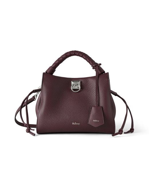 Mulberry Purple Small Iris Cherry