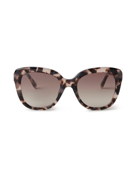 Mulberry Brown Poppy Sunglasses Rose Havana