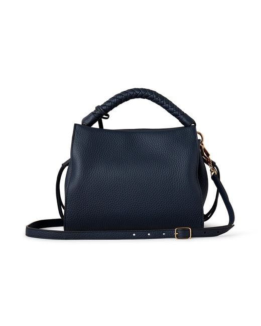 Mulberry Blue Small Iris Night Sky