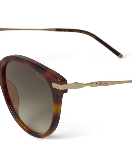 Mulberry Brown Megan Sunglasses Tortoiseshell