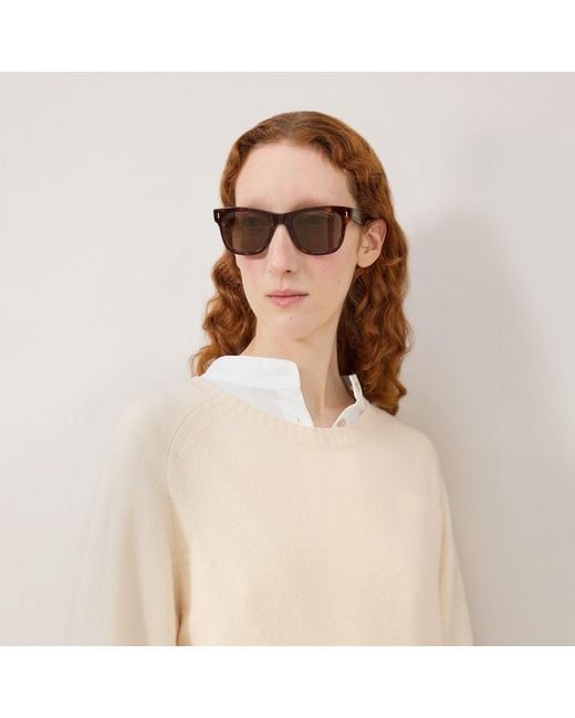 Mulberry Brown Monty Sunglasses Tortoiseshell