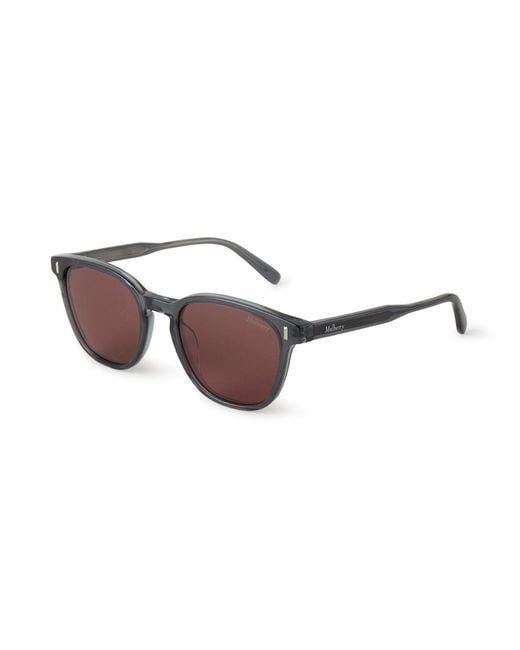 Mulberry Brown Quinn Sunglasses