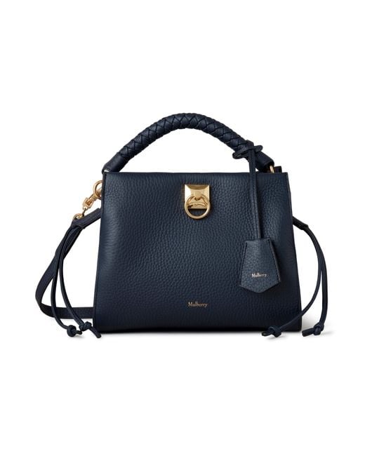 Mulberry Blue Small Iris Night Sky