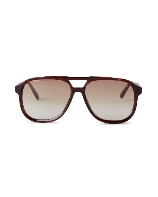Mulberry Brown Raffy Sunglasses