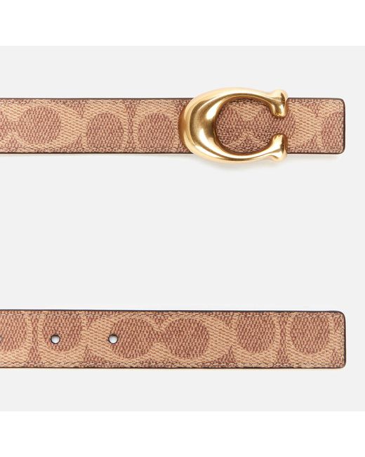 coach belt 25mm