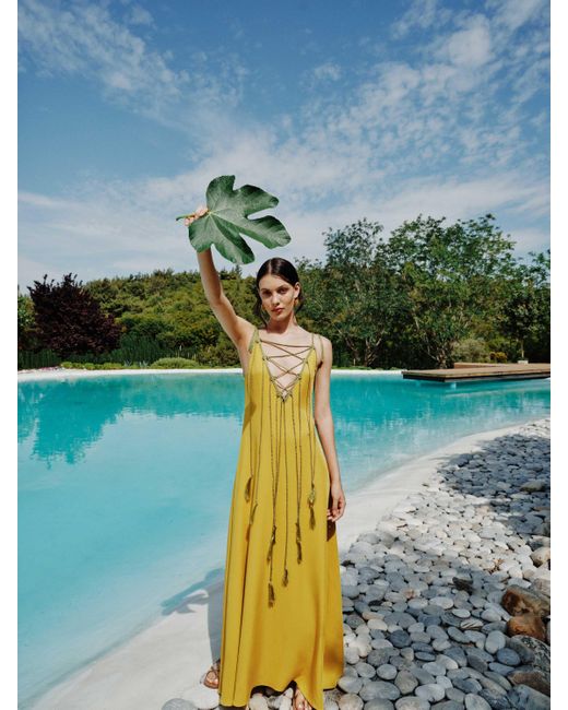 monarch maxi