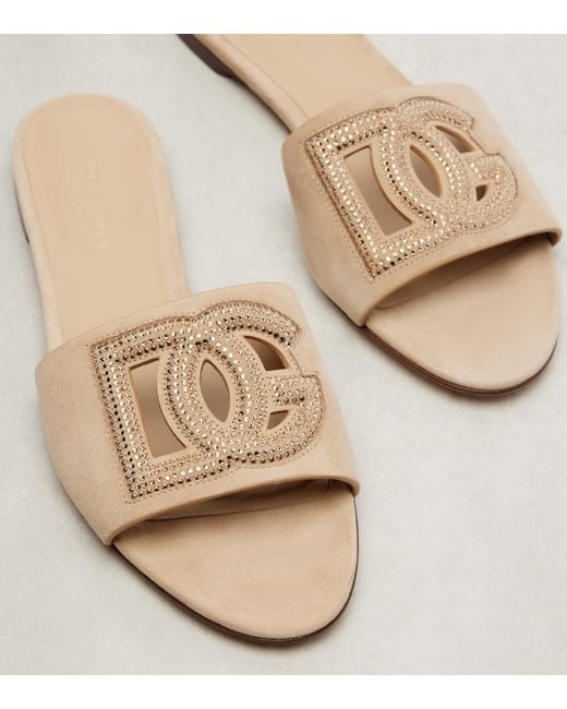 Dolce & Gabbana Natural Dg Crystal-Embellished Suede Slides