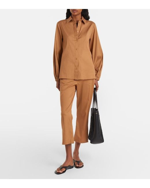 Max Mara Brown Curve Cotton-Blend Cropped Straight Pants