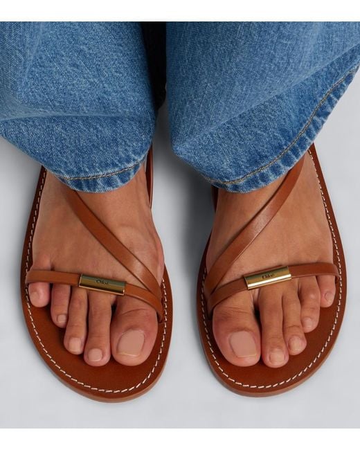 Chloé Brown Matilda Leather Sandals