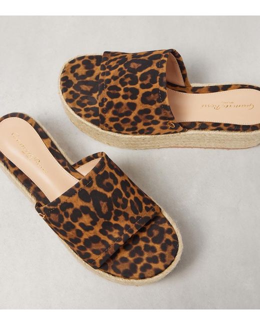 Gianvito Rossi Brown Leopard-Print Suede Espadrille Slides