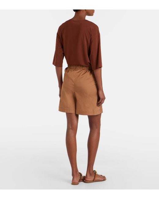 Max Mara Brown Medeola Pleated Cotton-Blend Bermuda Shorts