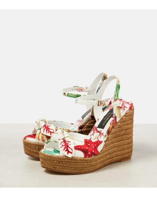 Dolce & Gabbana Metallic Capri Cava Printed Espadrille Wedges