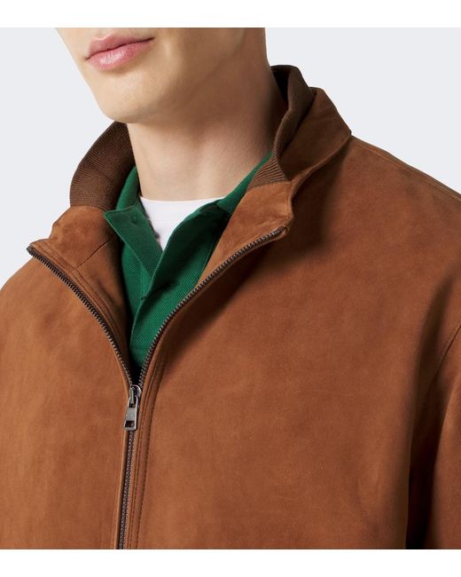 Polo Ralph Lauren Brown Suede Blouson Jacket for men