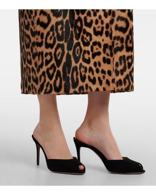 Mules Vera 85 di Paris Texas in Black