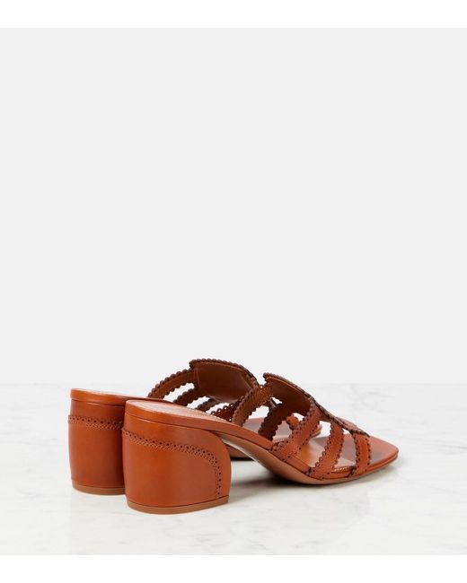 Zimmermann Brown Goldie 65 Leather Mules