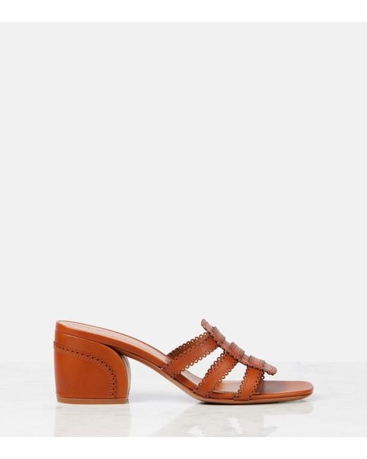 Zimmermann Brown Goldie 65 Leather Mules