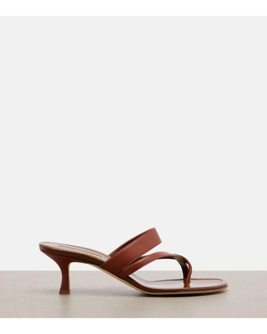 Manolo Blahnik Brown Susa Leather Thong Sandals
