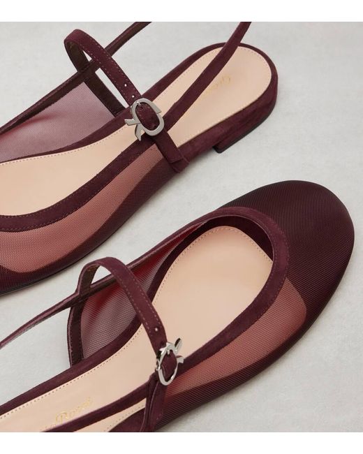 Gianvito Rossi Brown Sling Organza Ballet Flats