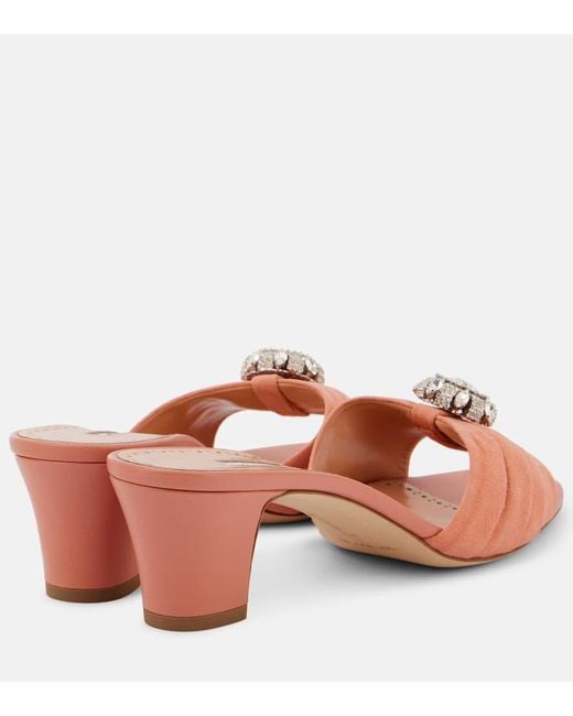 Mules Ansaklo 50 di Manolo Blahnik in Pink