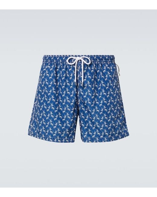 Banador Estampado Fedeli de hombre de color Blue