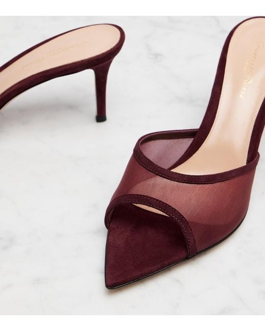 Gianvito Rossi Red Pointy 70 Suede And Organza Mules