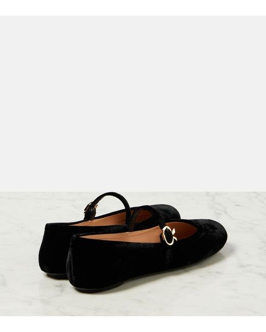 Gianvito Rossi Black Carla Velvet Ballet Flats