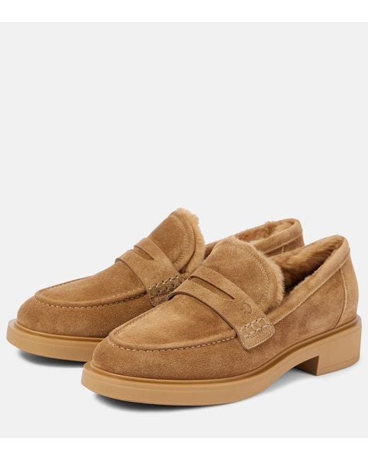Gianvito Rossi Brown Harris Suede Penny Loafers