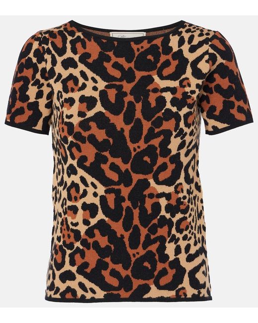 Blumarine Black Shoert Leopard-Print Top