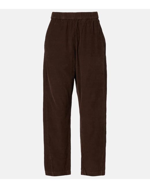 Velvet Brown Laney Cotton Straight Pants