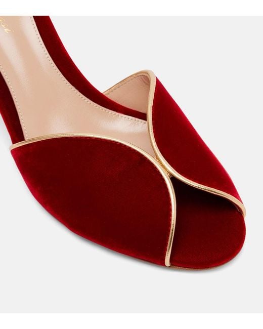 Gianvito Rossi Red 70 Leather-Trimmed Velvet Mules
