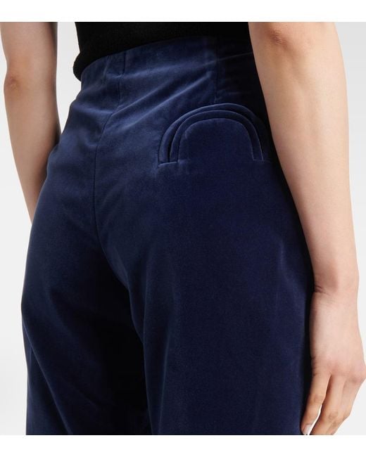 Blazé Milano Blue Jealousy Morelia Velvet Flared Pants