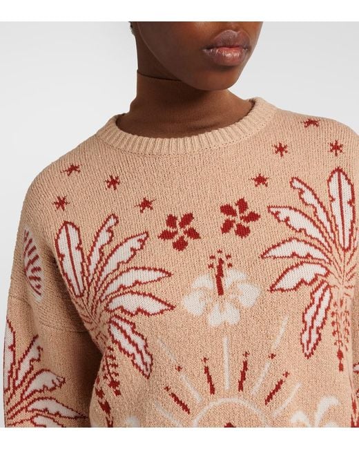Alanui Pink Echoes Of The Island Wool And Cotton Sweater