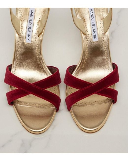 Manolo Blahnik Pink Callydra Velvet-Trimmed Leather Sandals