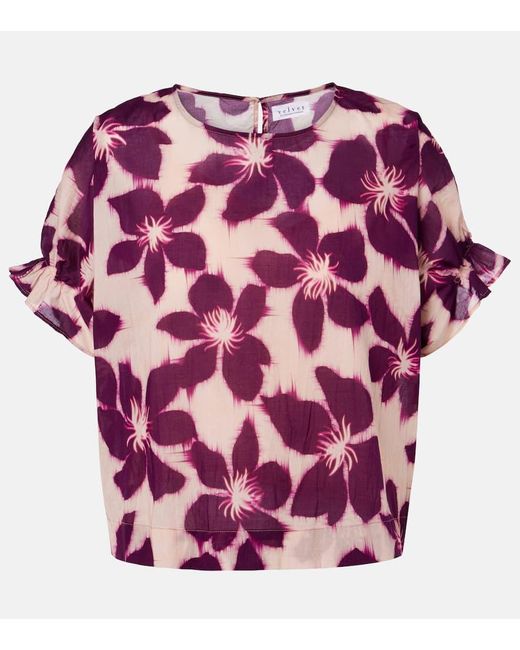 Velvet Pink Bluse Delilah Aus Baumwollpopeline